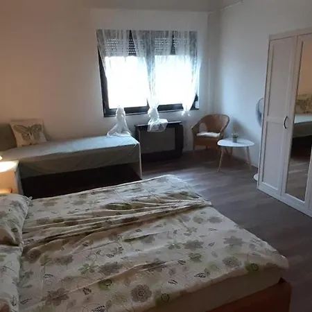Biborka Nyaralo Nagyobb Tarsasagnak 度假居