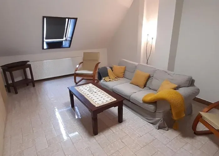 Biborka Nyaralo Nagyobb Tarsasagnak